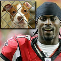 Name:  20070817-MichaelVick Pitbull.jpg
Views: 1572
Size:  15.3 KB