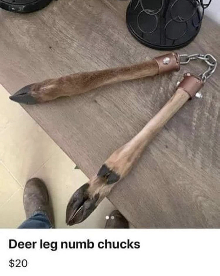 Name:  DEER.jpeg
Views: 2028
Size:  404.7 KB