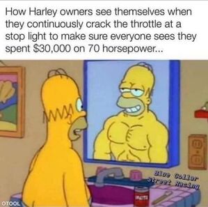 Name:  homer.jpeg
Views: 1640
Size:  35.7 KB