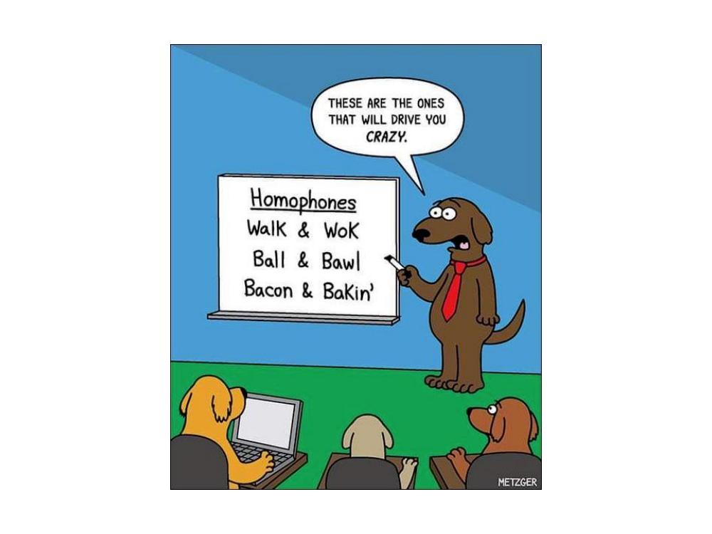 Name:  Homophones..jpg
Views: 1143
Size:  51.2 KB