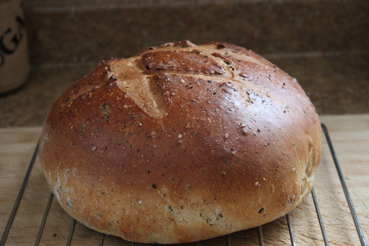 Name:  Olive bread 2.JPG
Views: 6710
Size:  118.8 KB