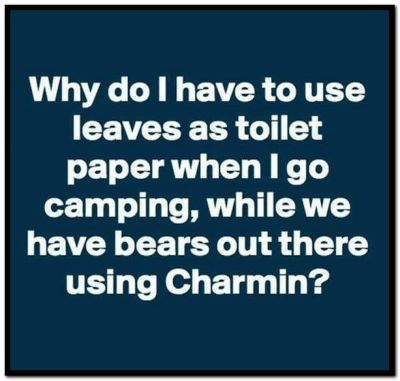 Name:  Charmin (1).jpg
Views: 1593
Size:  74.6 KB