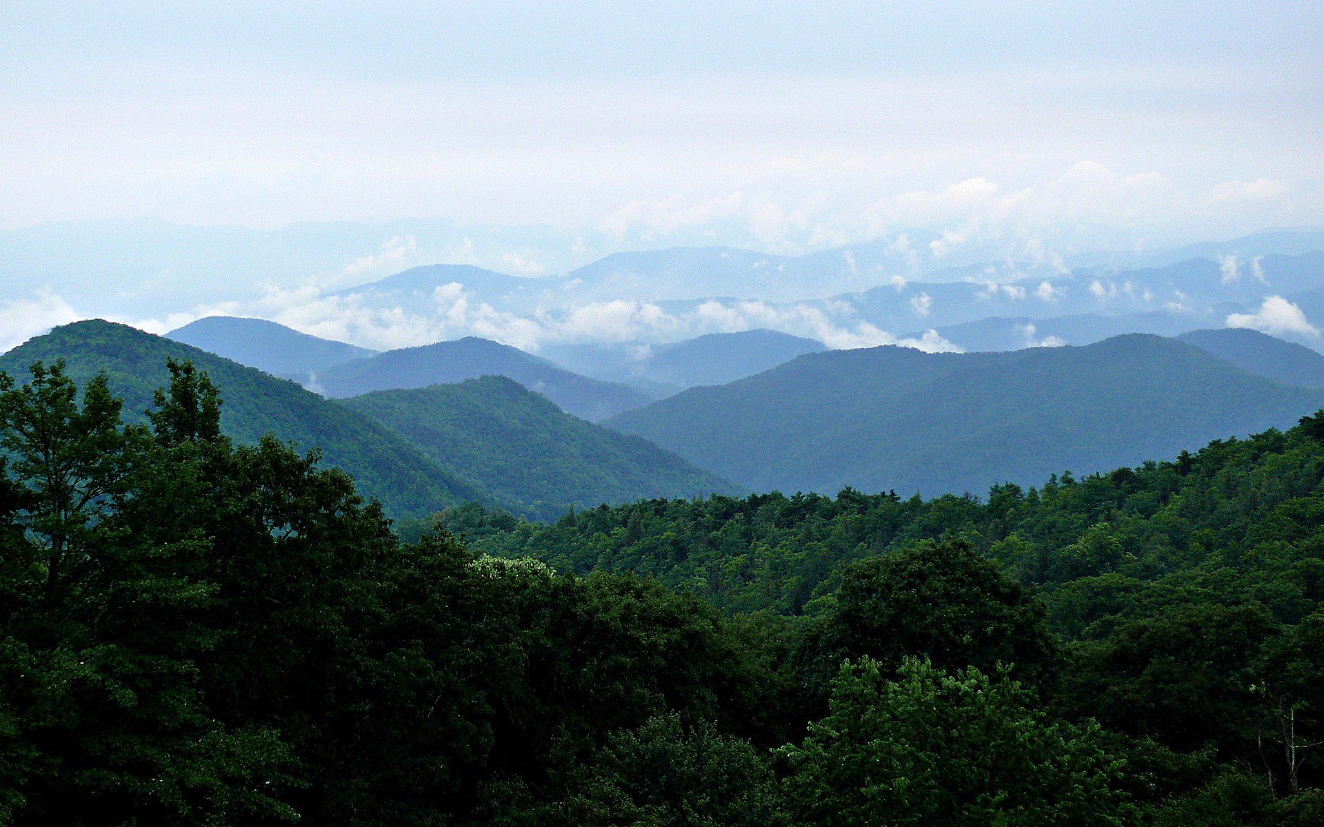 Name:  Rainy_Blue_Ridge-27527.jpg
Views: 9389
Size:  549.4 KB