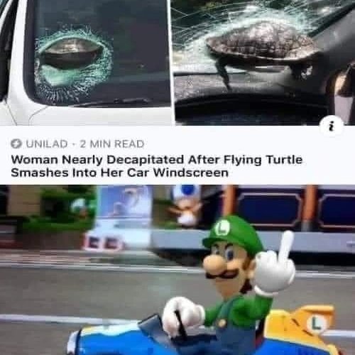 Name:  luigi.jpg
Views: 1462
Size:  45.5 KB