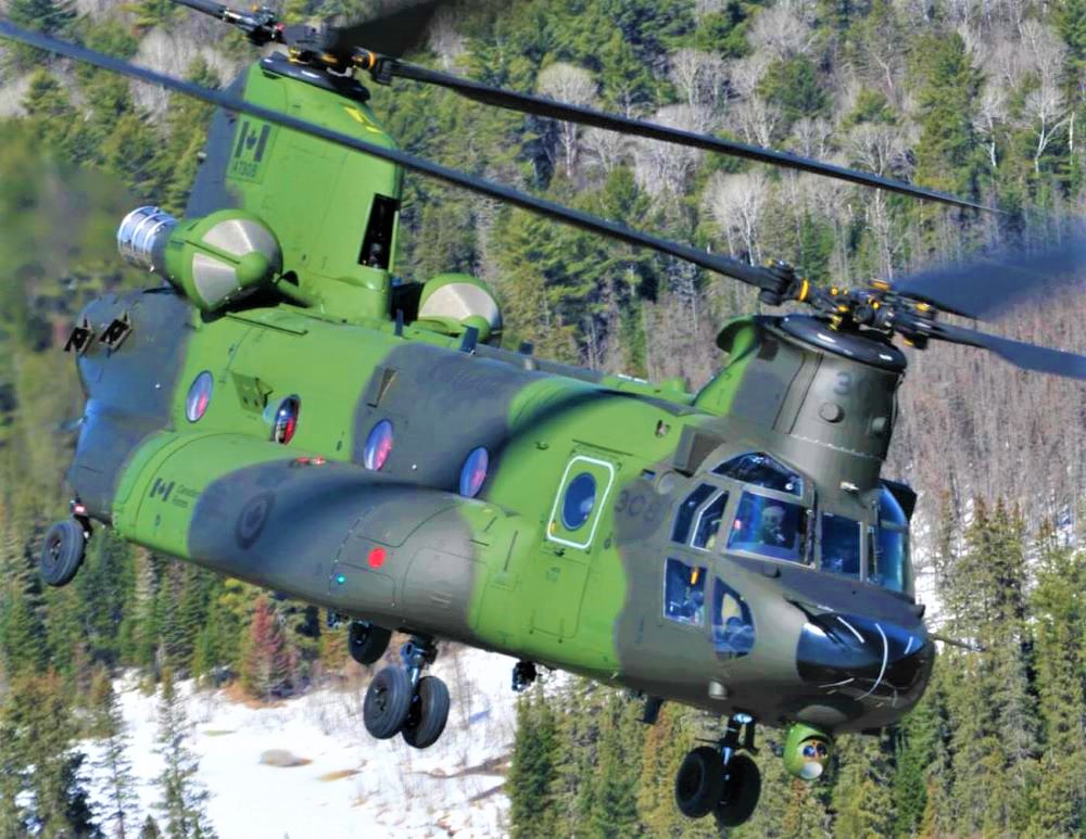 Name:  Chinook..jpg
Views: 3248
Size:  226.4 KB