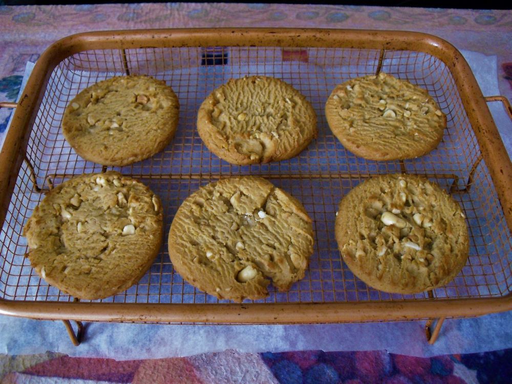 Name:  PB cookies.JPG
Views: 3602
Size:  151.7 KB