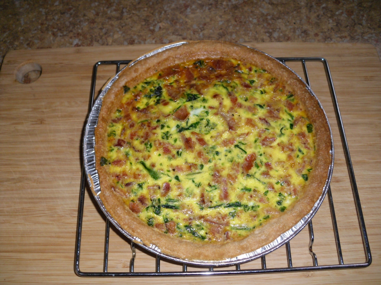 Name:  quiche..JPG
Views: 491
Size:  1,000.2 KB