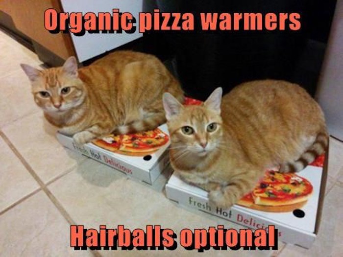 Name:  hairballs-not-optional-if-you-dont-share.jpeg
Views: 1426
Size:  77.8 KB