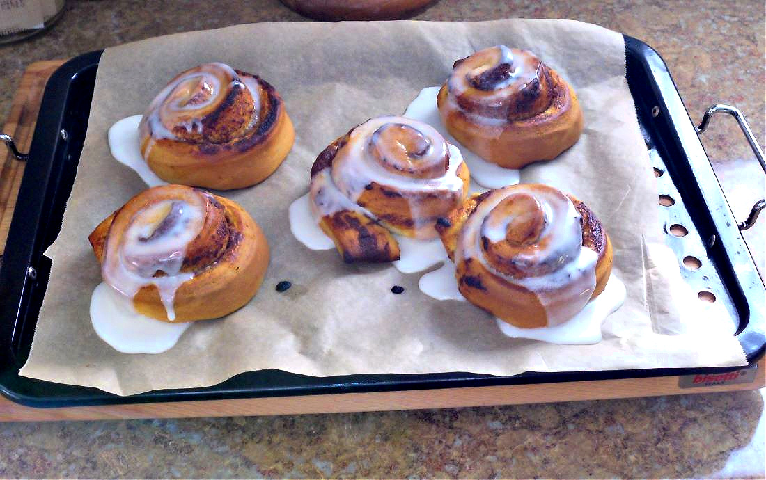 Name:  Cinnabuns..jpg
Views: 496
Size:  311.4 KB