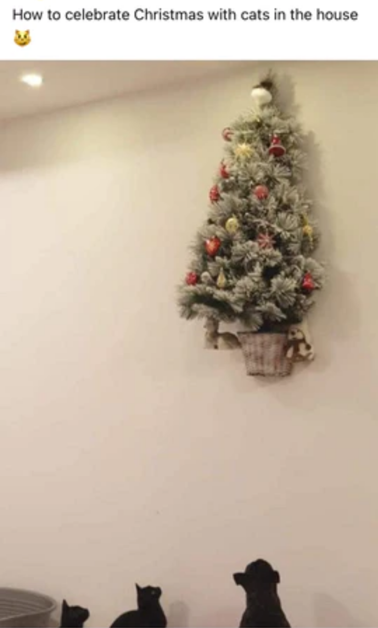 Name:  Cats_XMasTree.png
Views: 653
Size:  352.0 KB