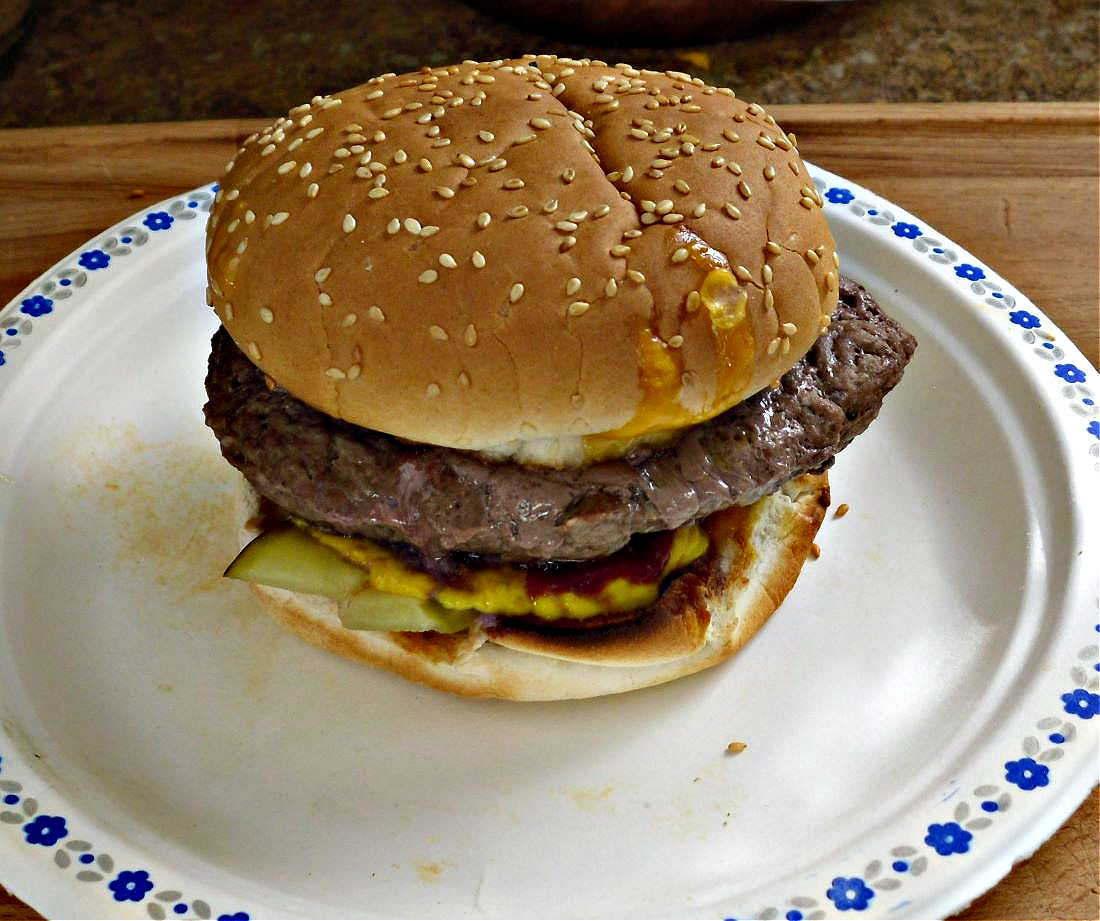 Name:  Burger..jpg
Views: 417
Size:  348.9 KB