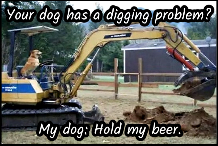 Name:  Digging. (1).jpg
Views: 1000
Size:  177.2 KB