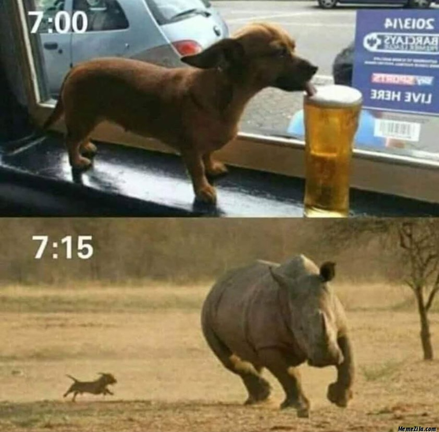 Name:  Drunk_Dog.jpg
Views: 729
Size:  320.9 KB