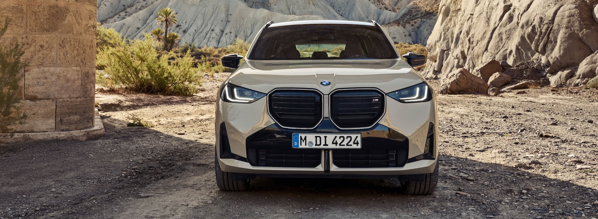 2025 BMW X3 M50 and 30 World Debut - BMW X3, X4, iX3, iX4