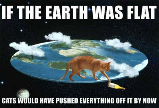 Name:  Cat_FlatEarth.png
Views: 965
Size:  301.1 KB