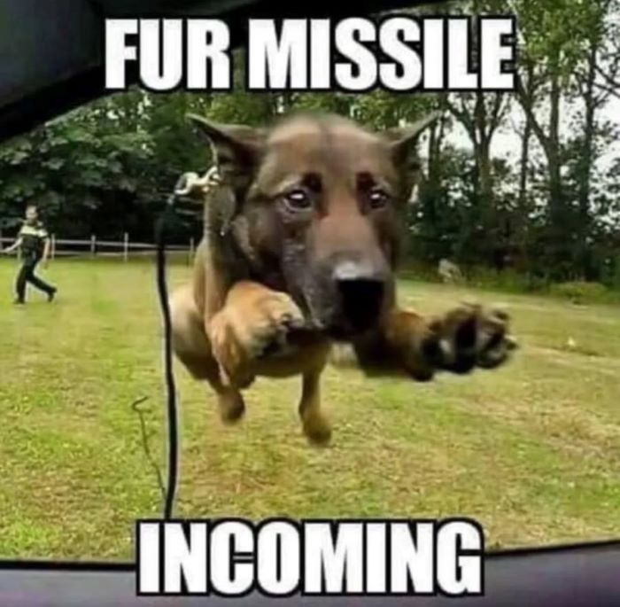 Name:  fur-missile-incoming.jpg
Views: 18
Size:  71.4 KB