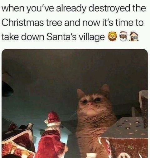 Name:  Cat_Christmas.jpg
Views: 251
Size:  77.1 KB