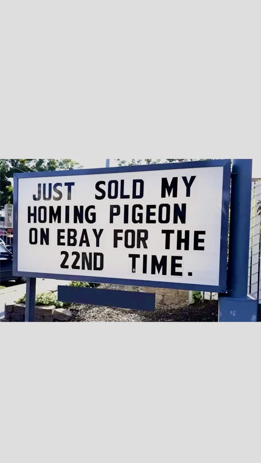 Name:  ebay-homing-pigeon.jpg
Views: 415
Size:  104.0 KB