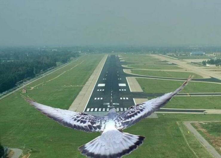 Name:  Landing.jpg
Views: 544
Size:  38.3 KB