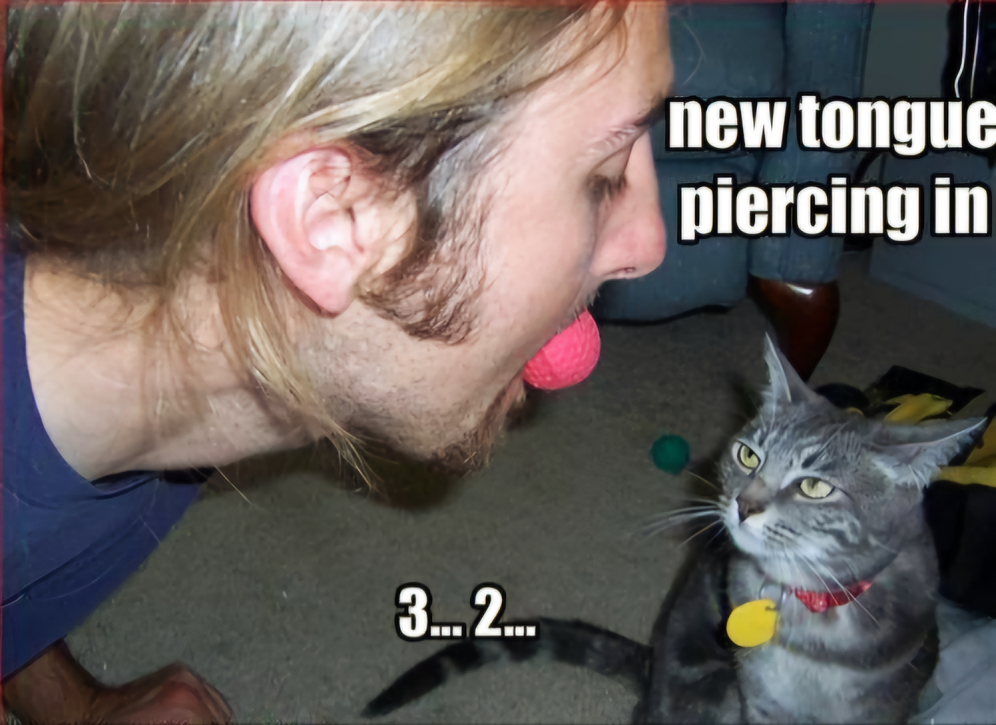 Name:  New_Tongue_Piercing.jpg
Views: 238
Size:  1.06 MB