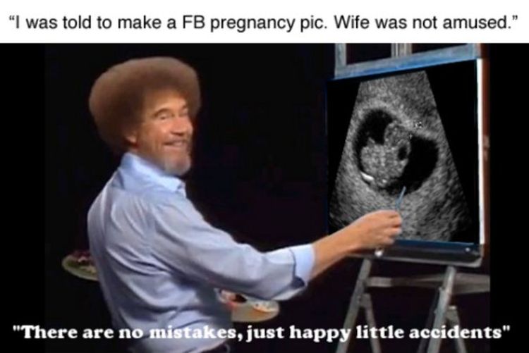 Name:  BobRoss_Pregnancy.jpg
Views: 297
Size:  40.4 KB