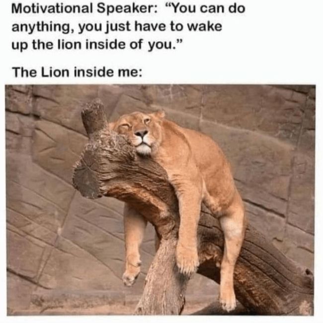 Name:  Lion_Motivation.jpg
Views: 396
Size:  58.0 KB