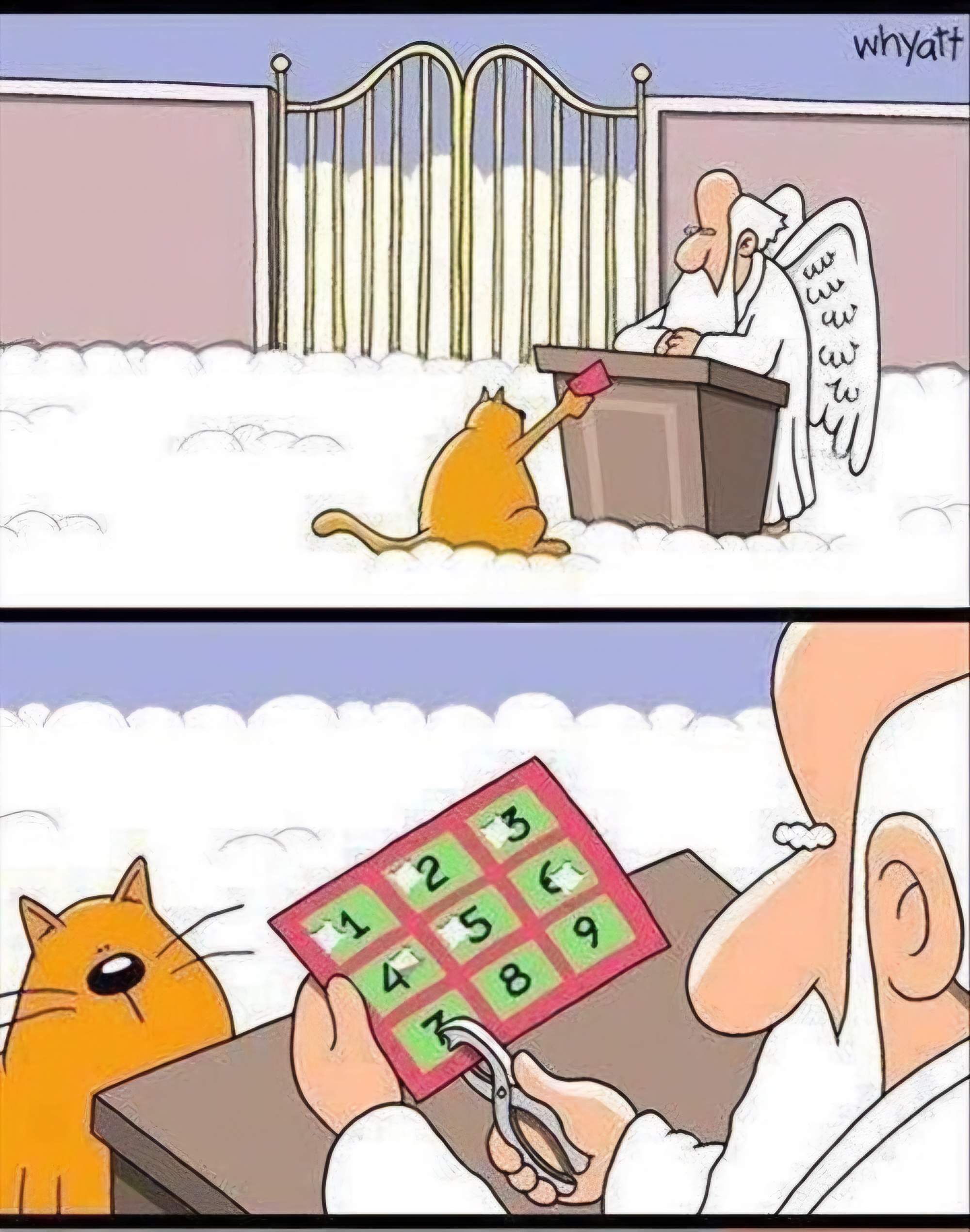 Name:  Cat_Heaven.jpeg
Views: 314
Size:  1.00 MB