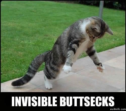 Name:  Invisible_buttsecks.jpg
Views: 24860
Size:  35.0 KB