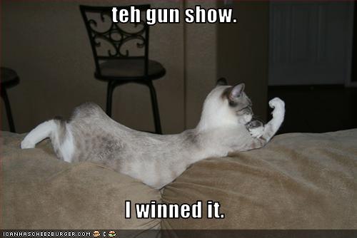 Name:  funny-pictures-cat-won-gun-show.jpg
Views: 3425
Size:  20.7 KB