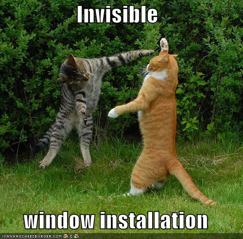 Name:  Cat-install-invisible-windows.jpg
Views: 3483
Size:  67.1 KB