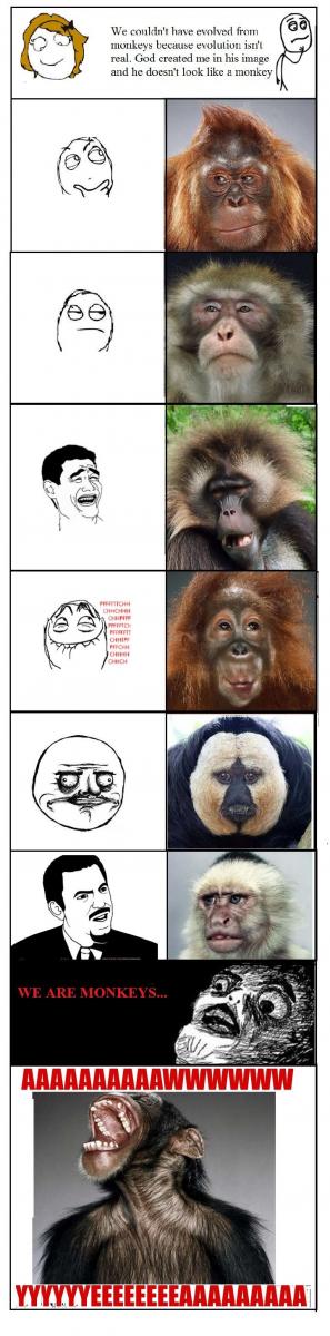 Name:  monkeys.jpg
Views: 1702
Size:  66.2 KB