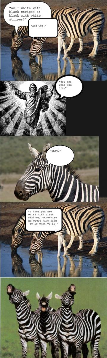 Name:  zebra.jpg
Views: 3349
Size:  98.3 KB