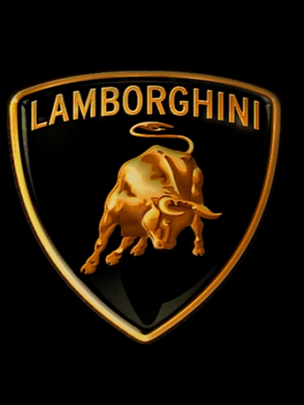 Name:  Lamborghini-Bull.jpg
Views: 13621
Size:  95.3 KB